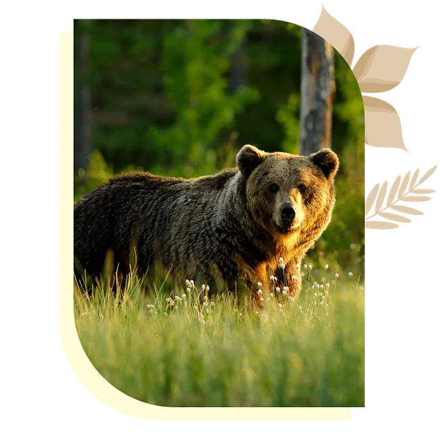 ours